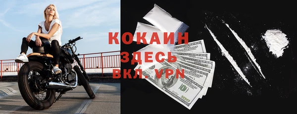ПСИЛОЦИБИНОВЫЕ ГРИБЫ Ельня