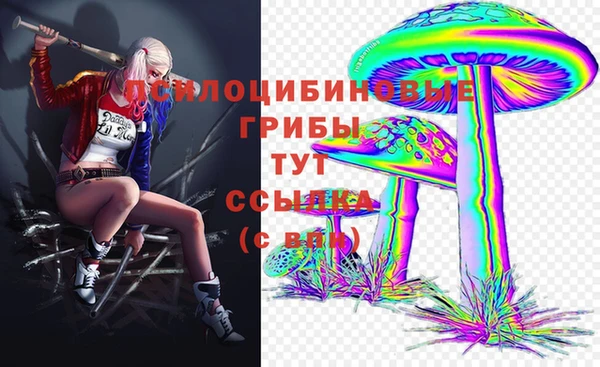 apvp Куйбышев