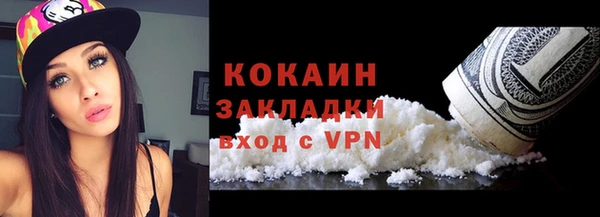 гидра Елизово