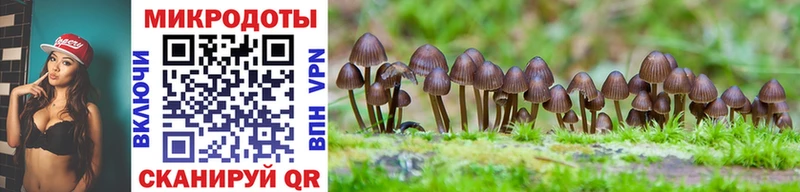 наркота  Каспийск  Псилоцибиновые грибы Magic Shrooms 